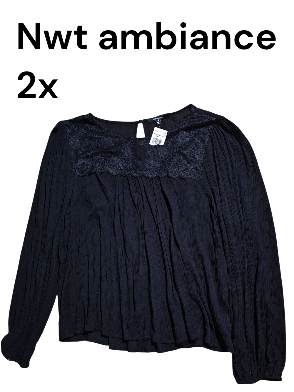 Ambiance Black Long-Sleeve Lace Yoke Blouse - 2X